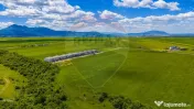COMISION 0%| DEZVOLTARE REZIDENTIALA TARLUNGENI | TEREN 8... 