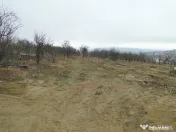 Teren intravilan , Bucium Barnova 