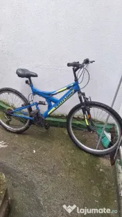 Bicicleta albastra 