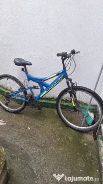 Bicicleta albastra