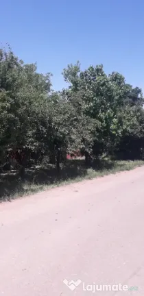 Vand casa locuibila Izvoarele
