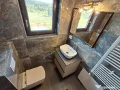 Casa de vacanta extravaganta,8 camere,5 bai,1000 mp teren, Belis, Jud. 