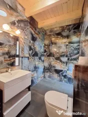 Casa de vacanta extravaganta,8 camere,5 bai,1000 mp teren, Belis, Jud. 