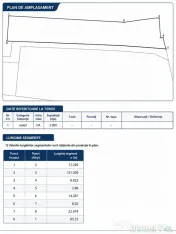 TEREN RAR PE LAC SNAGOV – 2.000 mp – PONTON + GARAJ B... 