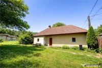 FILM Tur 3D! Casa cu gradina, pomi fructiferi, fantana, Zago 