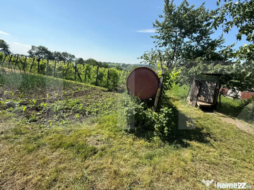 Casă bătrânească cu 2 fronturi stradale, 3095 mp teren,