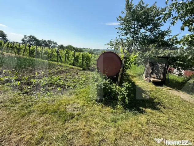 Casă bătrânească cu 2 fronturi stradale, 3095 mp teren,
