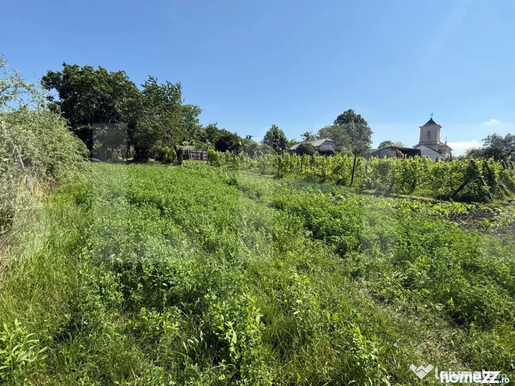 Casă bătrânească cu 2 fronturi stradale, 3095 mp teren,