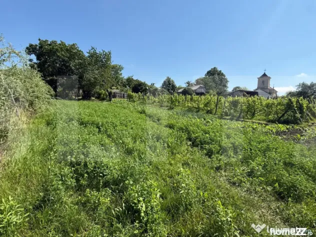 Casă bătrânească cu 2 fronturi stradale, 3095 mp teren,