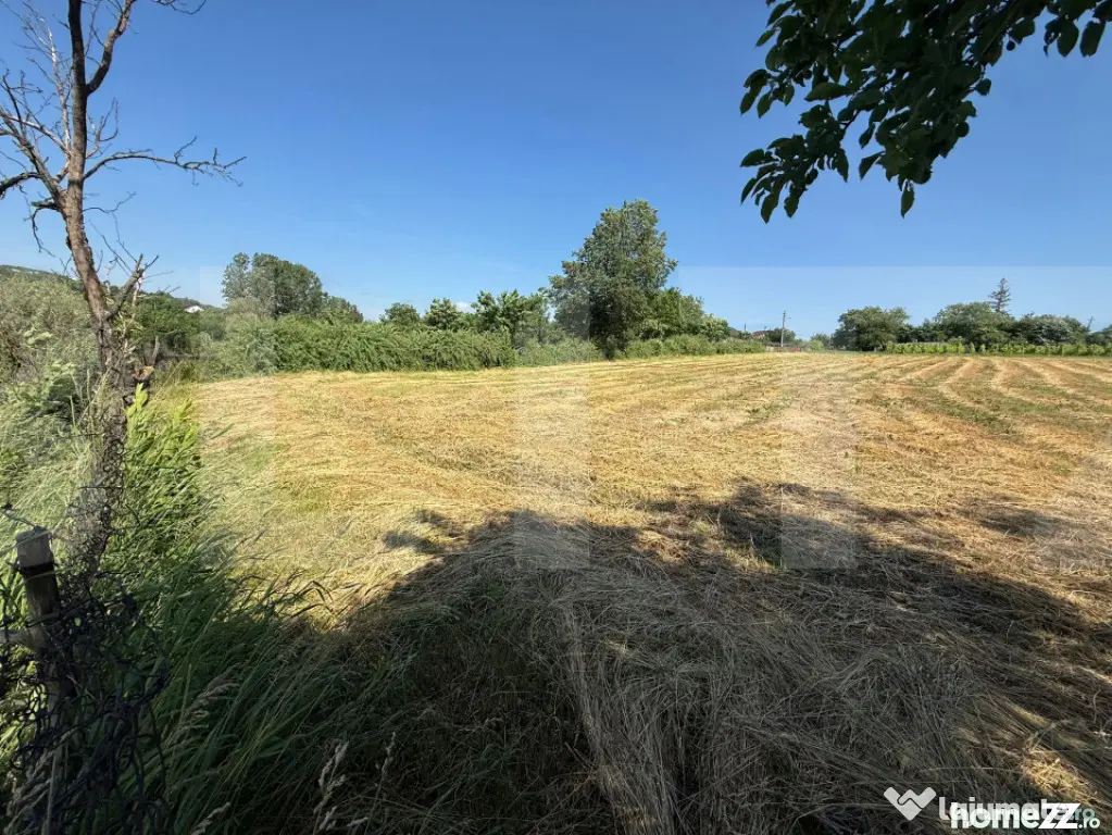 Casă bătrânească cu 2 fronturi stradale, 3095 mp teren,