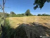 Casă bătrânească cu 2 fronturi stradale, 3095mp teren, 