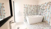 Vila 6 camere Iancu Nicolae 