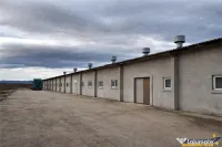 Hala industriala versatila,spatii cazare, platforma betonata