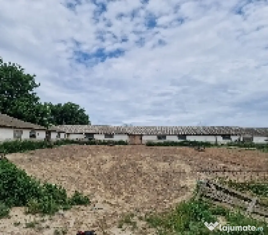 Ferma de vanzare in Cochirleni, Constanta