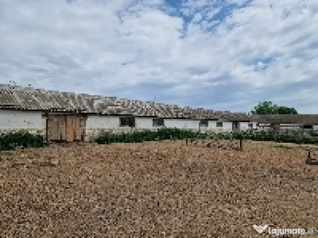 Ferma de vanzare in Cochirleni, Constanta