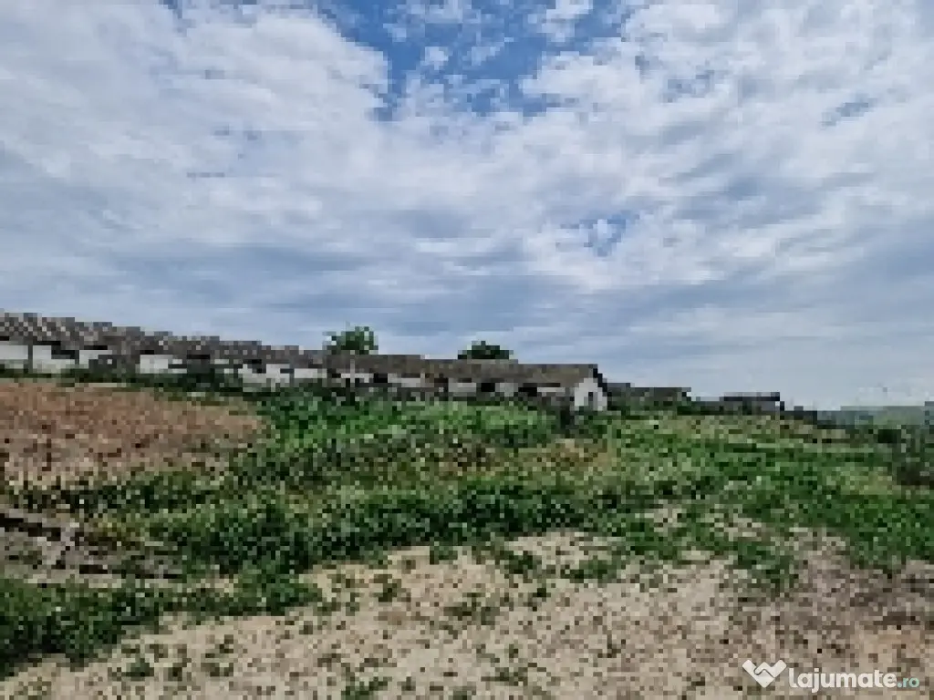 Ferma de vanzare in Cochirleni, Constanta