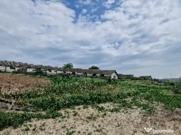 Ferma de vanzare in Cochirleni, Constanta
