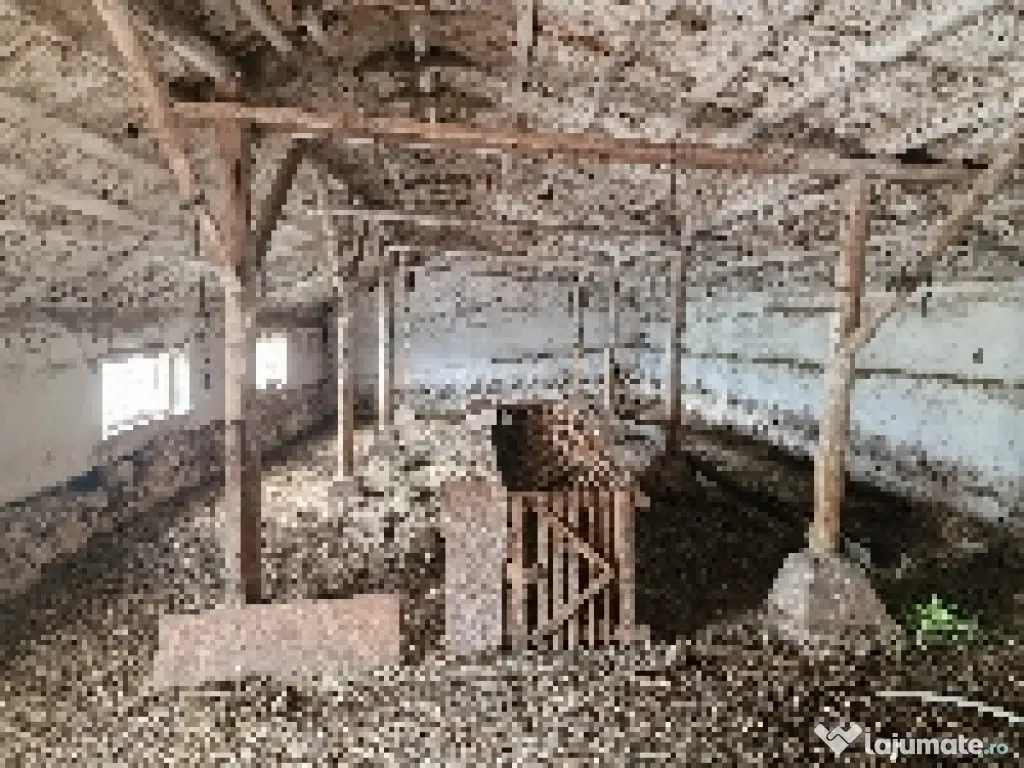Ferma de vanzare in Cochirleni, Constanta