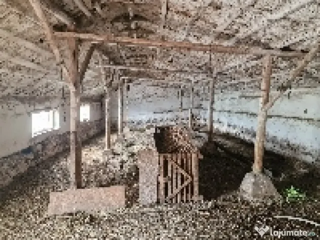 Ferma de vanzare in Cochirleni, Constanta
