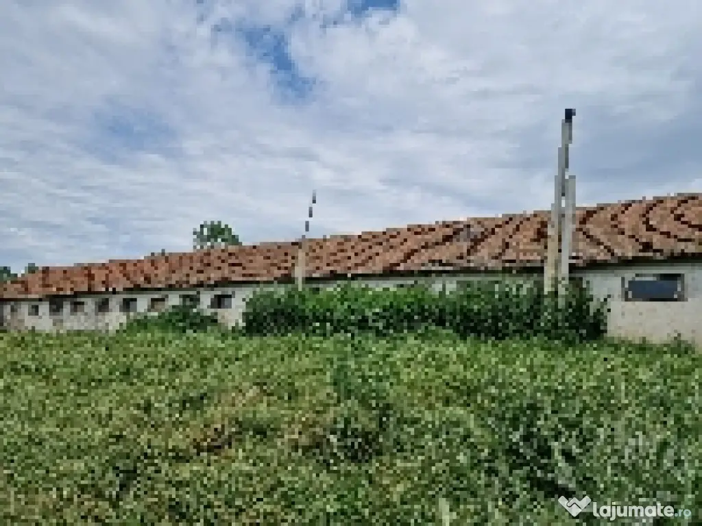 Ferma de vanzare in Cochirleni, Constanta