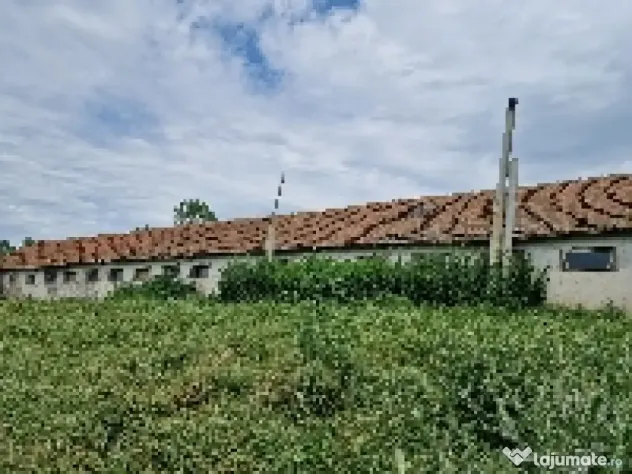 Ferma de vanzare in Cochirleni, Constanta