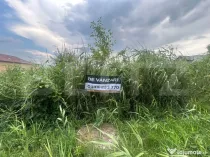 Teren pentru casă – 775 mp, deschidere 20,66 m la DN72 ??