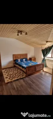VILA P+1 1 km de Bucuresti Progresul 