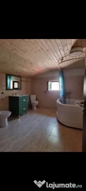 VILA P+1 1 km de Bucuresti Progresul 