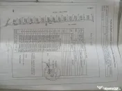Teren construibil Ciorogarla Fermei 