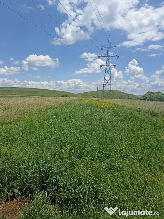 De vânzare teren extravilan la Sfântu Gheorghe