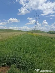 De vânzare teren extravilan la Sfântu Gheorghe 