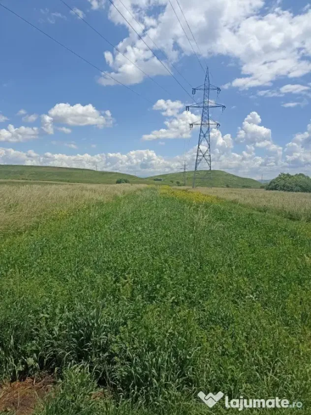 De vânzare teren extravilan la Sfântu Gheorghe