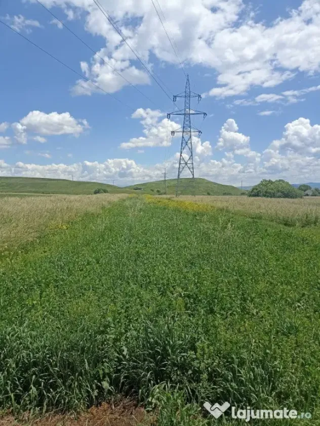 De vânzare teren extravilan la Sfântu Gheorghe