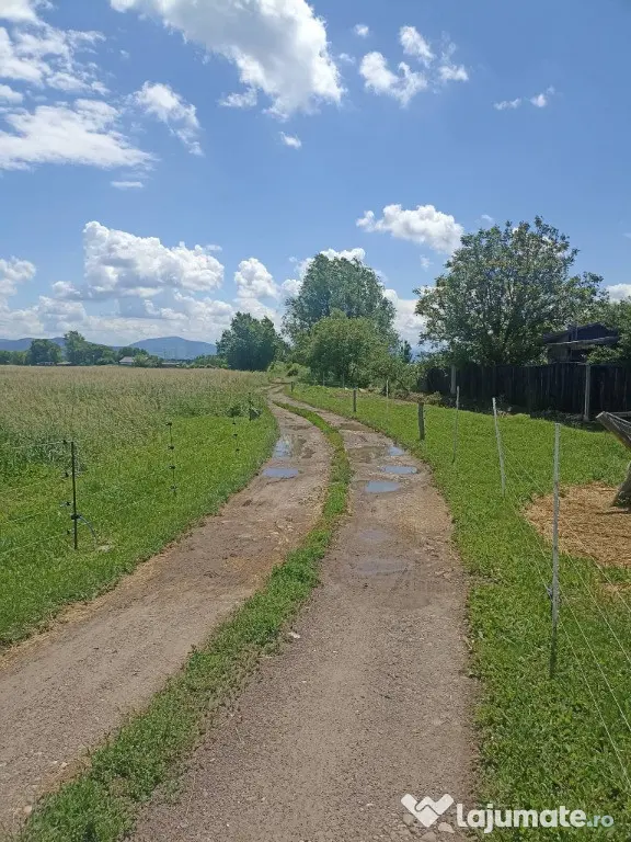 De vânzare teren extravilan la Sfântu Gheorghe