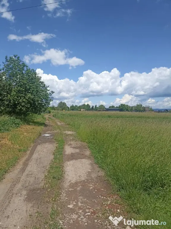 De vânzare teren extravilan la Sfântu Gheorghe