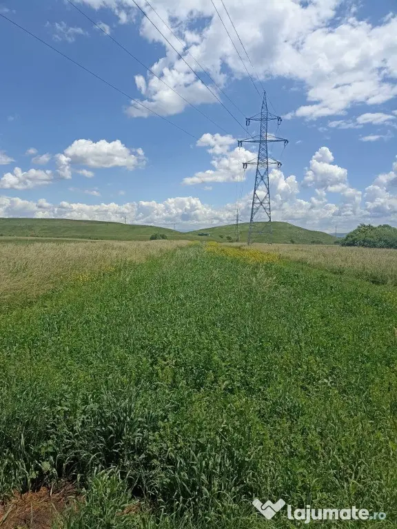 De vânzare teren extravilan la Sfântu Gheorghe