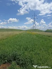 De vânzare teren extravilan la Sfântu Gheorghe 