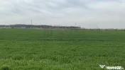 Teren intravilan Magurele 24.581 mp - front 82 m Str Magn...