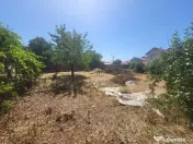 Teren - Voluntari - Matei Millo - Bd Eroilor 