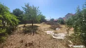 Teren - Voluntari - Matei Millo - Bd Eroilor