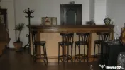 Vila renovata - zona Cismigiu
