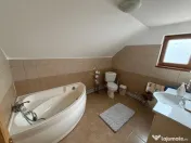 Casa Individuala Sanmihaiu Roman 