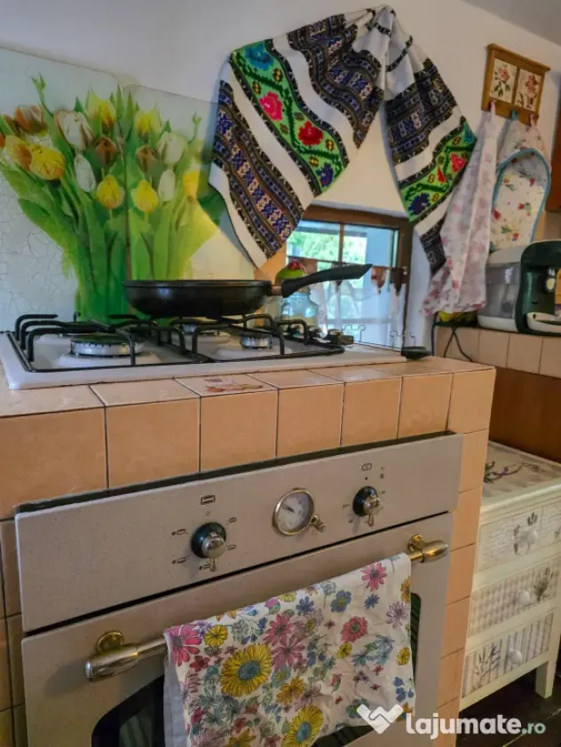 Oportunitate rară la Văratec, Neamț – ansamblu privat c