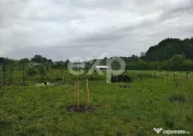 Teren intravilan de vânzare – Valea lui Enache, Baiculeș 
