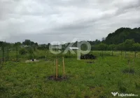 Teren intravilan de vânzare – Valea lui Enache, Baiculeș 