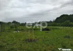 Teren intravilan de vânzare – Valea lui Enache, Baiculeș