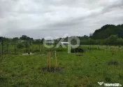 Teren intravilan de vânzare – Valea lui Enache, Baiculeș 