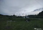 Teren intravilan de vânzare – Valea lui Enache, Baiculeș 