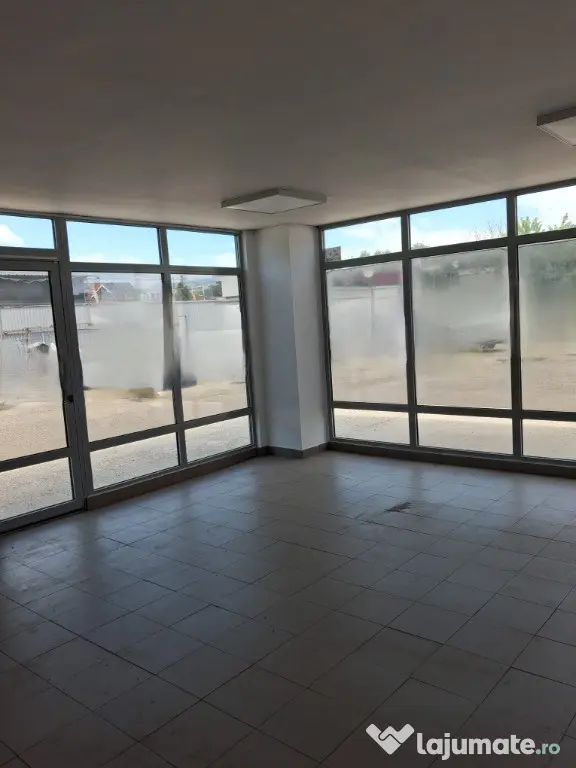 590 MP-HALĂ INDUSTRIALĂ/DEPOZITARE DE ÎNCHIRIAT, ACCES TIR DIRECT DN