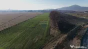 Teren extravilan cu potențial ridicat | Rezidential/Indu... 